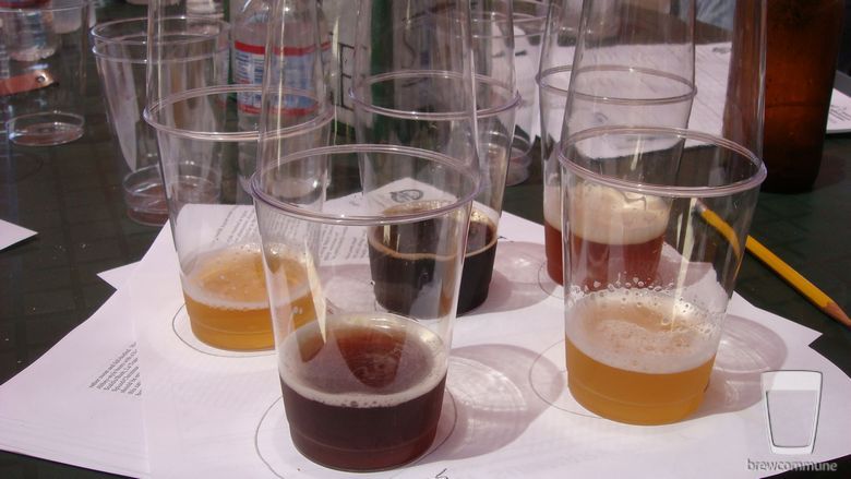 08 oc fair best of show all the beers to be judged
